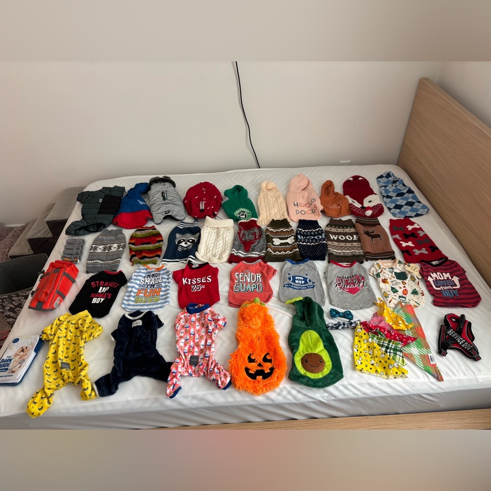 XS dog clothes and accessories